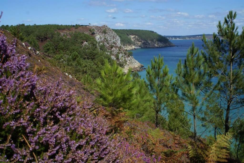 Unique Et Insolite, Chambre Privee - La Caloge De Kastell Dinn Crozon Bagian luar foto